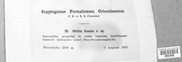 Image Associated With the Occurence